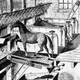 Illustration for article titled Russian Man Uses Horse Treadmill to Power Log Splitter